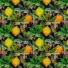 Arvidssons textil Gardintyger Mönstrade|Arvidssons Textil|Citrus svart tyg – Elegans med färgstarka citrusdetaljer