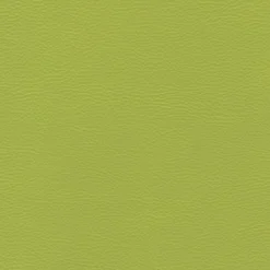 Nordisk Textil Enfärgade Fuskskinn|Karia lime fuskskinn