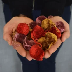 Pom Pom|Mini pom grape