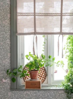 Fondaco Hissgardiner|Sanna beige hissgardin med dekorativt spetsband